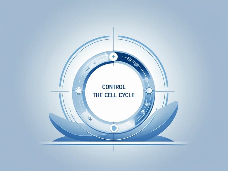 Control the Cell Cycle